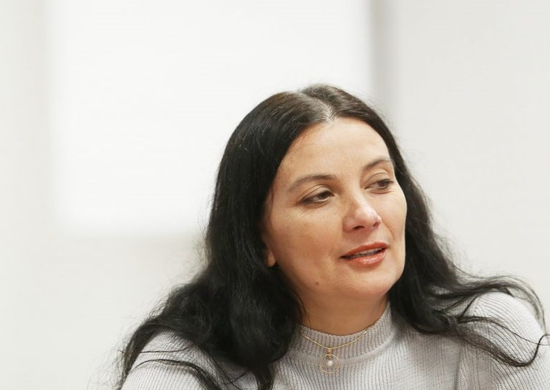 Председатель комиссии по экологии нижегородской гордумы Татьяна Гриневич инициировала перенос рассмотрения вопроса по парку «Швейцария» из-за предоставления усеченной информации
