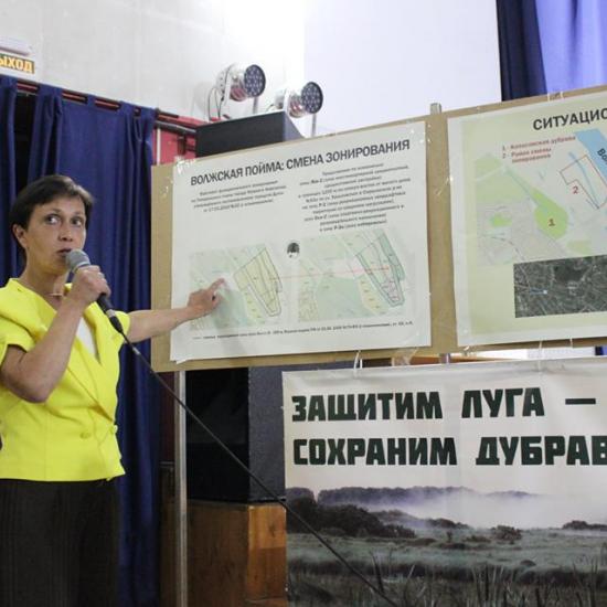 Онлайн-обсуждение зонирования территории 35 га волжской поймы началось в Нижнем Новгороде