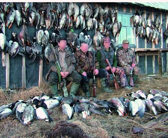 Охотничье лобби продлило себе право убивать весной в Нижегородской области