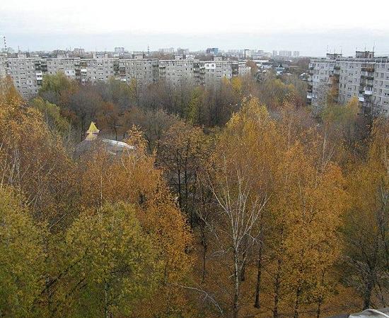 Четыре липы в Нижегородском районе спасены от покушения чиновников на вырубку