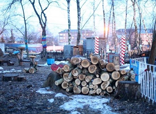 Компенсация в бюджет за вырубку деревьев сокращена в Нижнем Новгороде