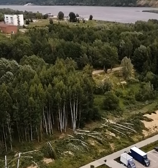 Жители микрорайона «Юг» в Нижнем Новгороде пытаются спасти от вырубки рощу