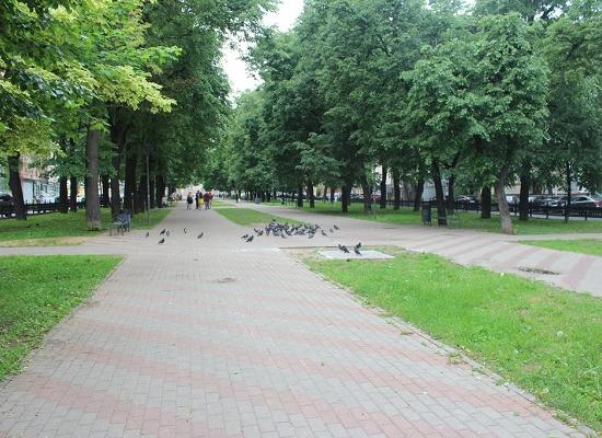 Почти 30 деревьев планируется снести в сквере на Звездинке в Нижнем Новгороде