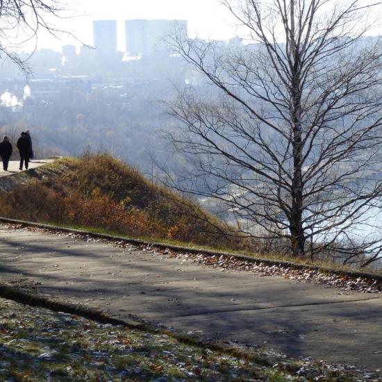 Нижегородские эксперты рассказали всю правду о том, как происходило   обсуждение дендроплана парка «Швейцария»  