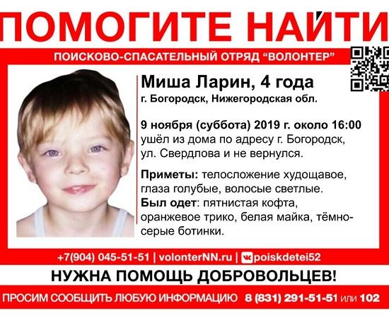 Полиция просит помощи в розыске четырехлетнего Михаила Ларина, пропавшего в Богородске
