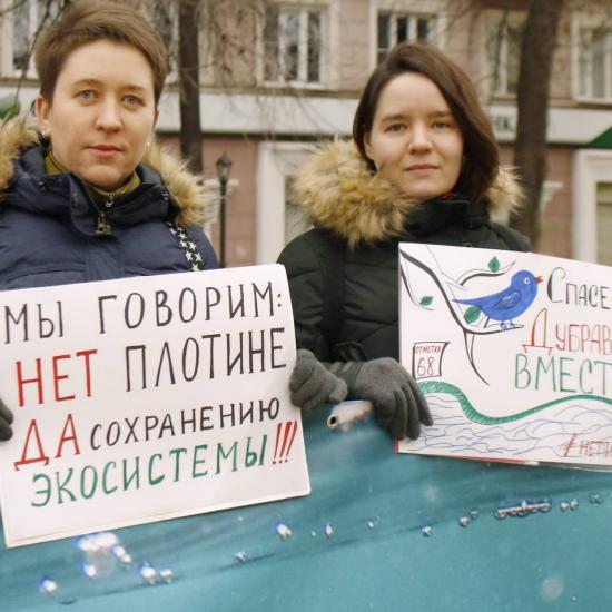 Научный совет РАН указал на проблемы строительства нижегородского низконапорного гидроузла