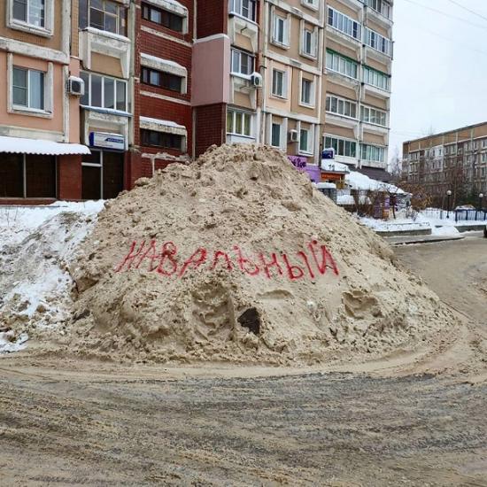 Нижегородцы написали фамилию Навального на куче снега
