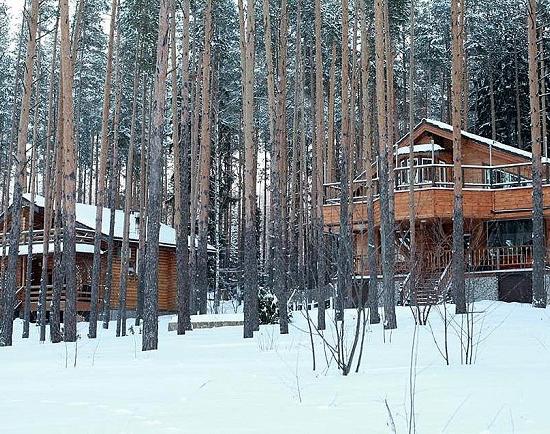 Суд рассмотрит иск департамента лесхоза к фирме, незаконно построившей коттеджи возле Горьковского моря