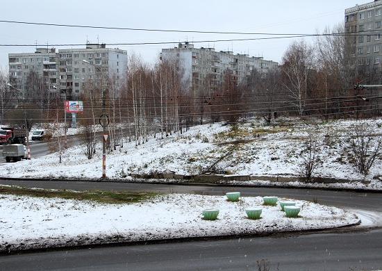 Суд выдал исполнительный лист ООО «Гурман» для сноса более 50 деревьев в Нижнем Новгороде