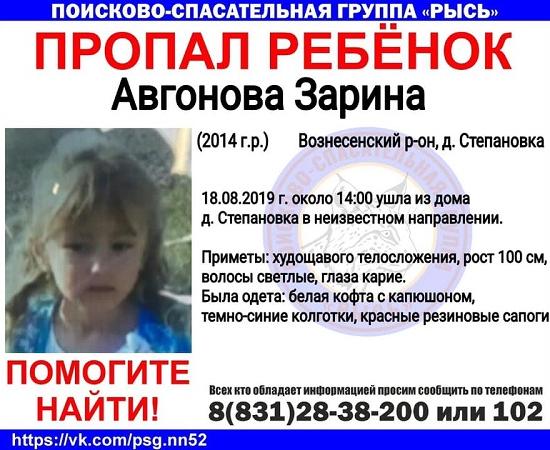 Начато расследование безвестного исчезновения пятилетней Зарины Авгоновой в Нижегородской области