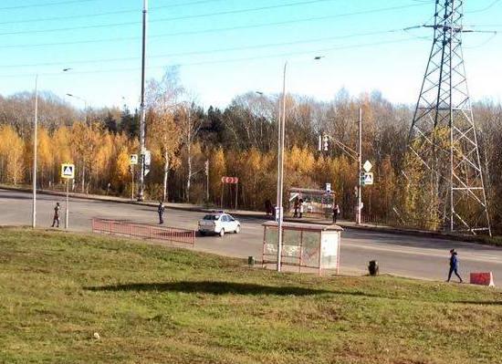 Двое мужчин, якобы оказавших вооруженное сопротивление полиции, убиты в Нижнем Новгороде