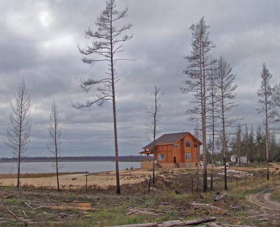 Нижегородское озеро Ардино досталось за 35 тыс. руб. на 25 лет семье члена Совета Федерации РФ Лебедева
