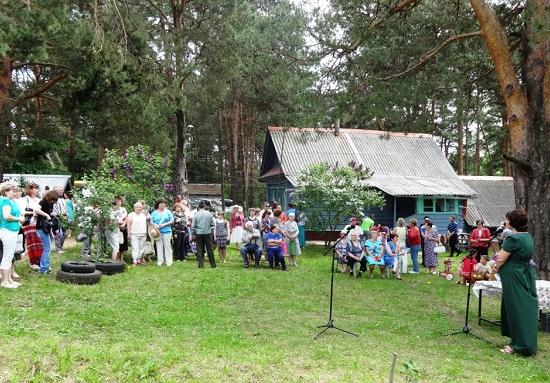 Погода в д константинове. Новое Борцово Дальнеконстантиновского района. Поселок Дальнее Константиново. День района Дальнее Константиново. Глава поселка Дальнее Константиново.