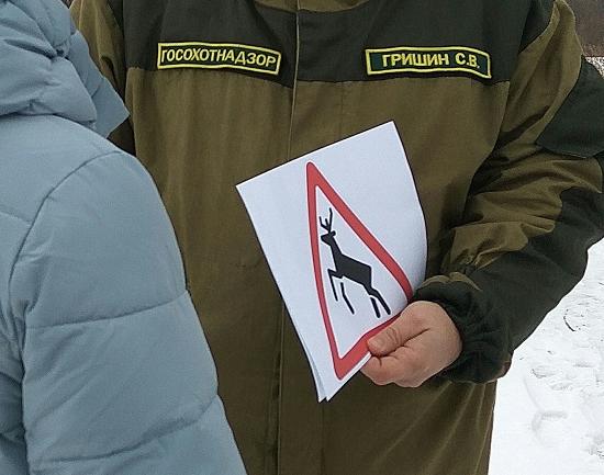 Резко увеличилось число столкновений с дикими животными на дорогах Нижегородской области