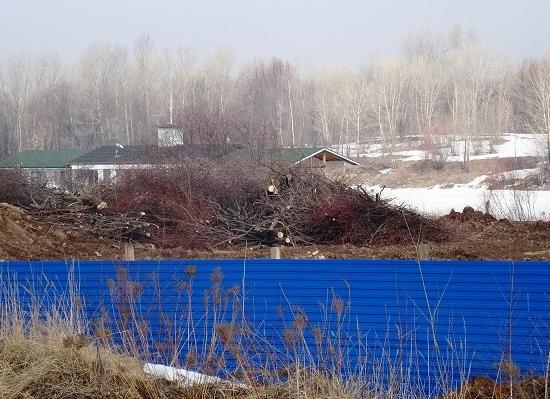Стала известна суть претензий Росприроднадзора к строителям яхт-клуба в Нижнем Новгороде фирмы замгубернатора Аверина
