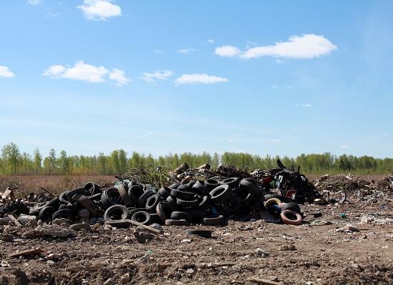 Отрапортовав о ликвидации 98 свалок, администрация Сормова не тронула мусор на Коновалова в Нижнем Новгороде