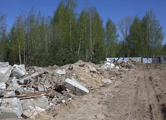 Арендатор 1,5 га земли, превращенной в свалку на Коновалова в Нижнем Новгороде, задолжал мининвесту