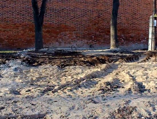 Эколог показал, почему нельзя допускать стройку в парке «Швейцария» Нижнего Новгорода