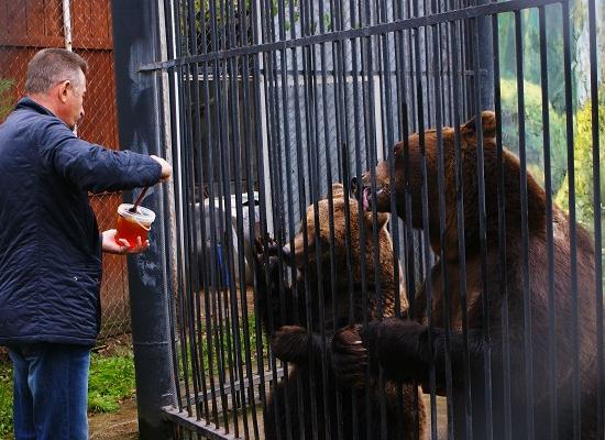 Лишившись дохода во время «режима самоизоляции», терпит бедствие зоопарк «Лимпопо» в Нижнем Новгороде