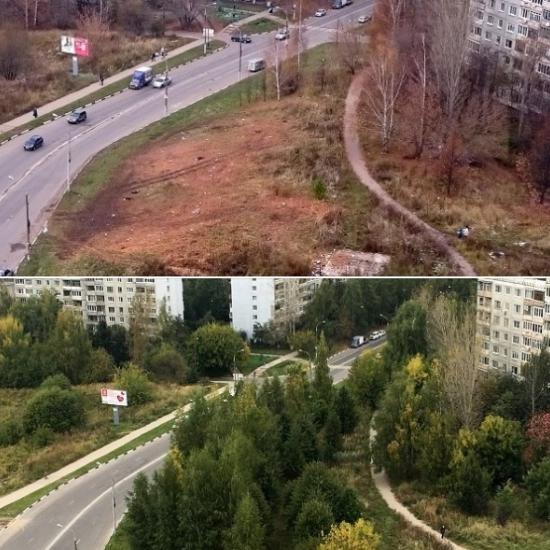 Участок, где вырубили деревья ради ТЦ, могут признать озелененной территорией общего пользования Нижнего Новгорода