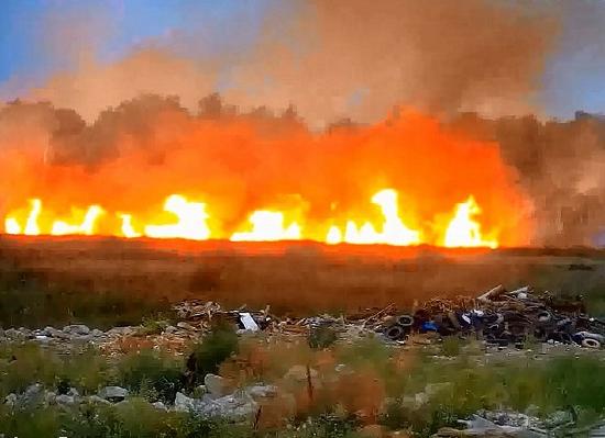 В 2,5 раза увеличилось число возгораний травы в Нижегородской области