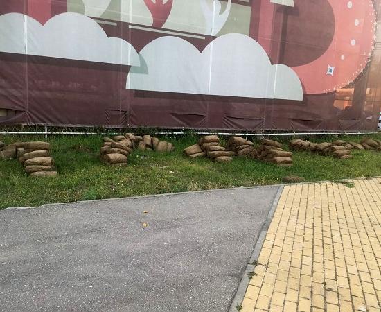 Рулонный газон высушили  перед укладкой благоустроители Нижнего Новгорода