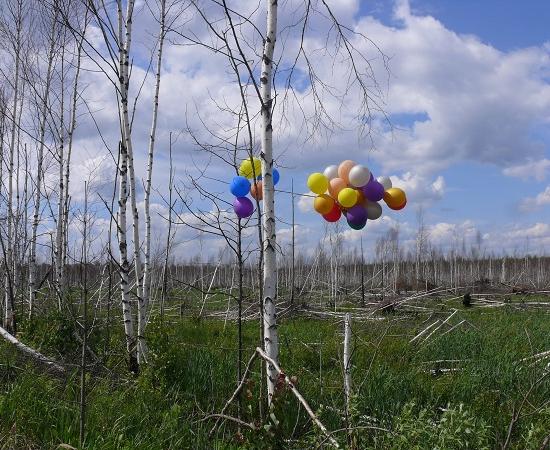 Сотрудники Керженского заповедника призывают нижегородских выпускников отказаться от запуска  шаров