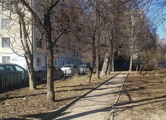 Горадминистрация допускает вырубку деревьев в сквере на Ковалихинской в Нижнем Новгороде