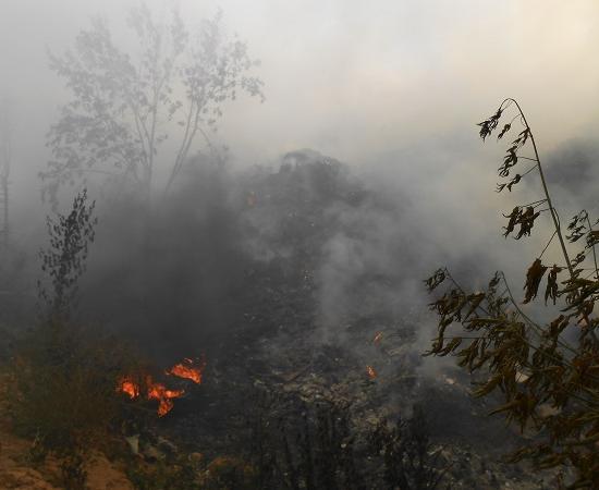 Начато административное расследование по факту пожара на свалке в Сергачском районе