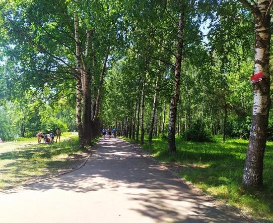 Почти на 0,6 га будет увеличена территория Светлоярского парка в Нижнем Новгороде