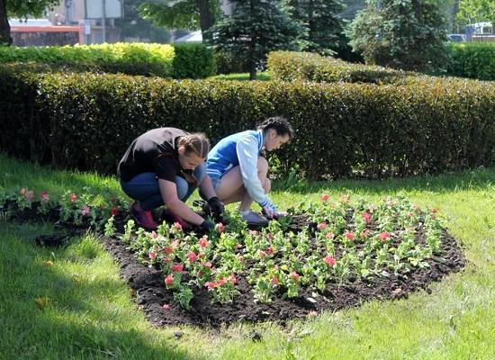 Нижний Новгород украсили 89 цветниками общей площадью 4,6 тыс. кв.м