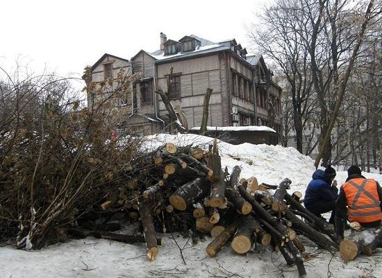 Полторы тысячи деревьев планируется вырубить в Нижегородском районе Нижнего Новгорода