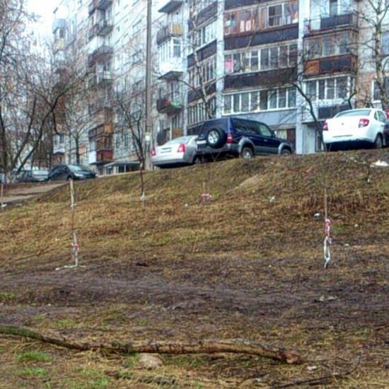 Фальшивое озеленение обнаружено на Ковалихинской в Нижнем Новгороде