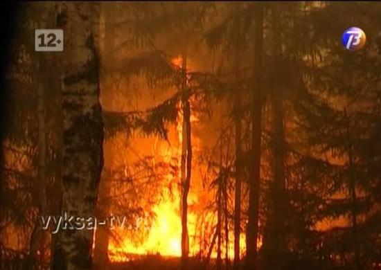 Снова горят леса Выксунского района в Нижегородской области 