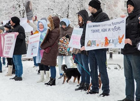 Пикет против жестокого обращения с животными прошел в Нижнем Новгороде