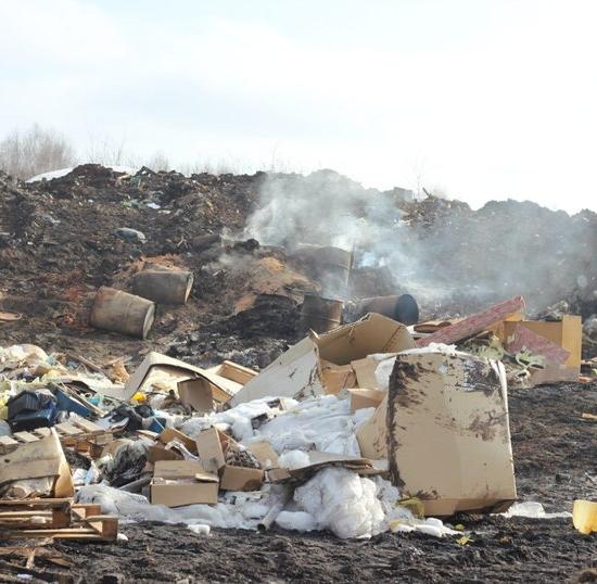 Мочалина: Новое положение о порядке сбора и вывоза отходов невыгодно только недобросовестным компаниям