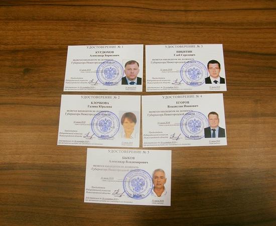 Утвержден бюджет выборов губернатора в Нижегородской области