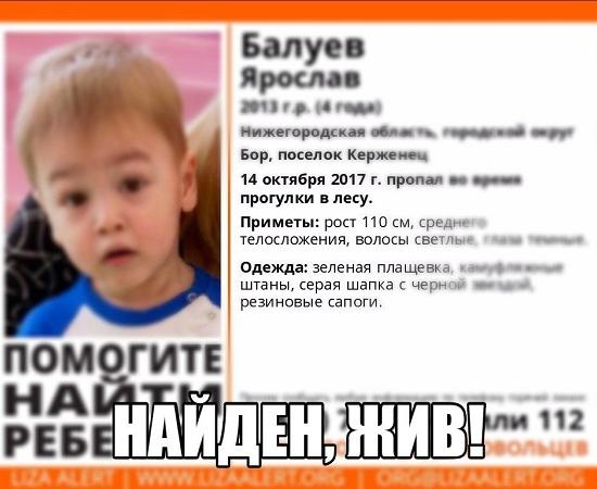 Найден живым 4-летний Ярослав Балуев, потерянный в лесу Нижегородской области