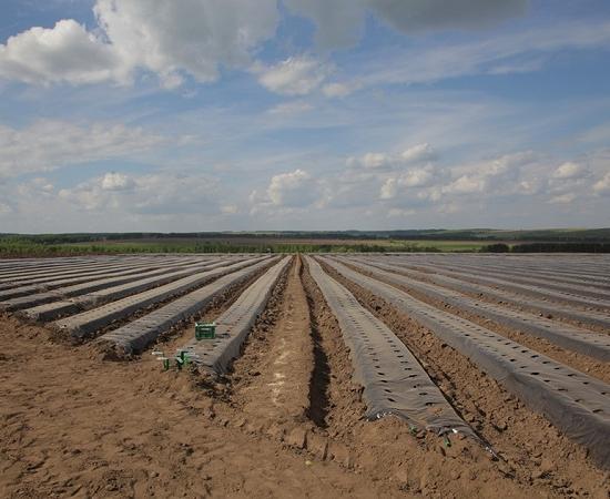 Проект «Эффективная губерния» начали реализовывать в сельском хозяйстве Нижегородской области