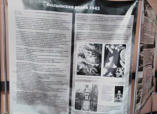 Зверства фашистов крупным планом: детям в Нижнем Новгороде объяснили, почему «Крым наш»