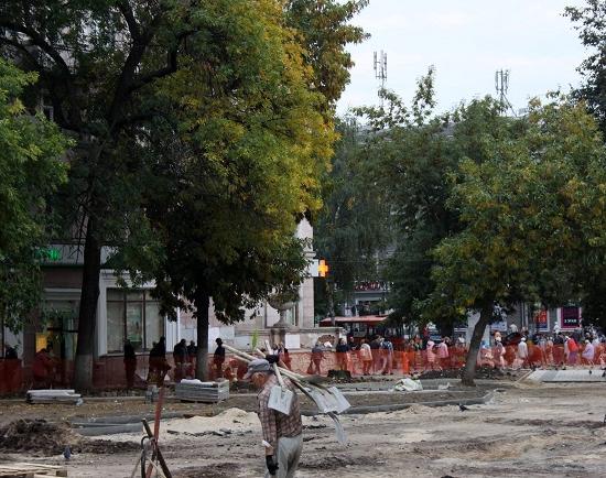 29 стволов деревьев планируют вырубить при благоустройстве сквера в центре Сормова