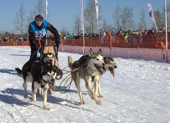 Традиционный фестиваль «Зимняя сказка-2017» пройдет в Нижегородской области