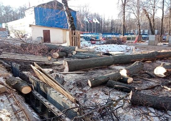 В нижегородском парке «Швейцария» началась массовая вырубка деревьев